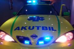 Akut bil Nissan Primera