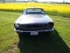 ford-mustang-033
