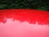 junior-2010-002